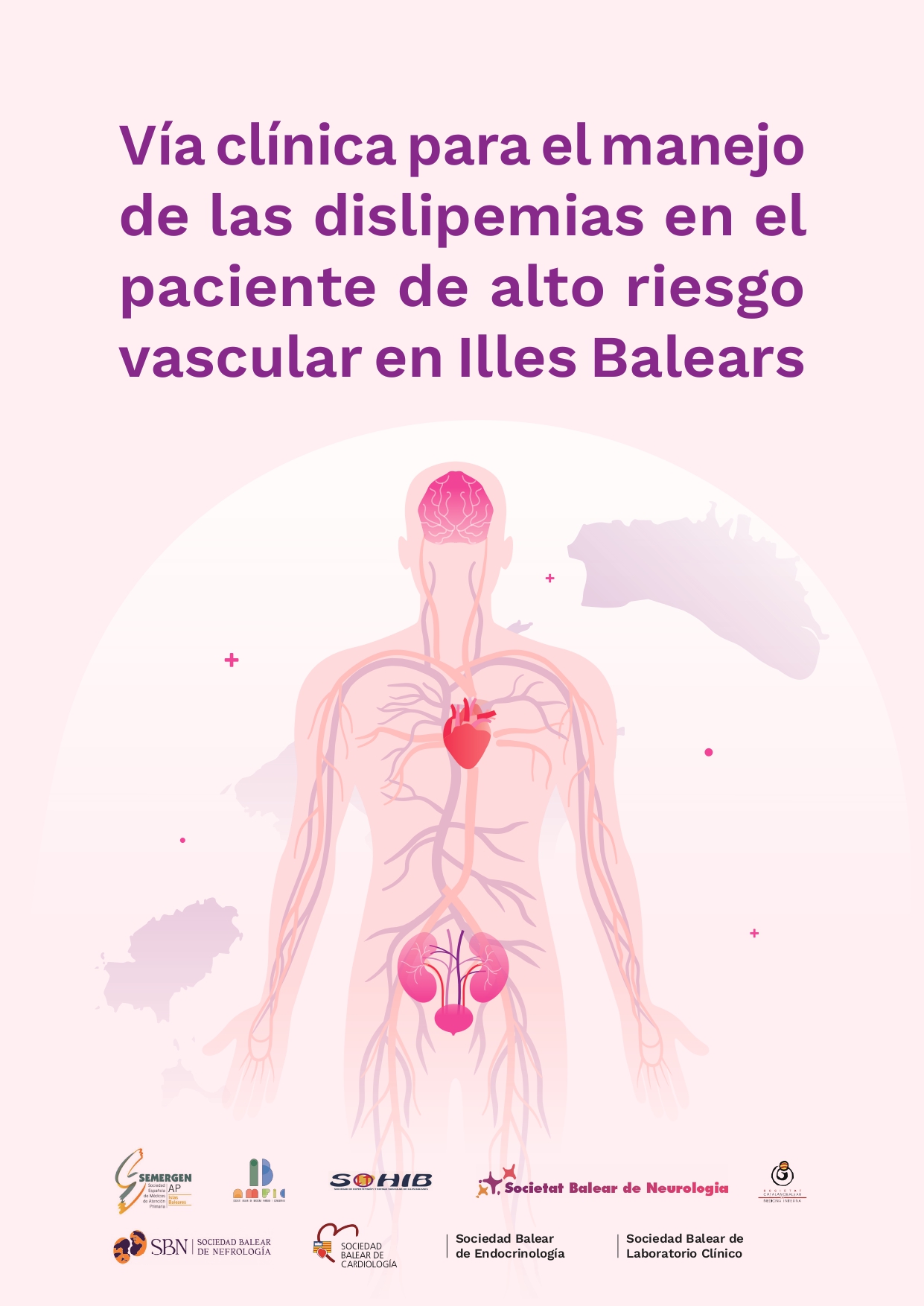 Guía para el manejo de las dislipemias en función del riesgo vascular de los pacientes en las islas baleares