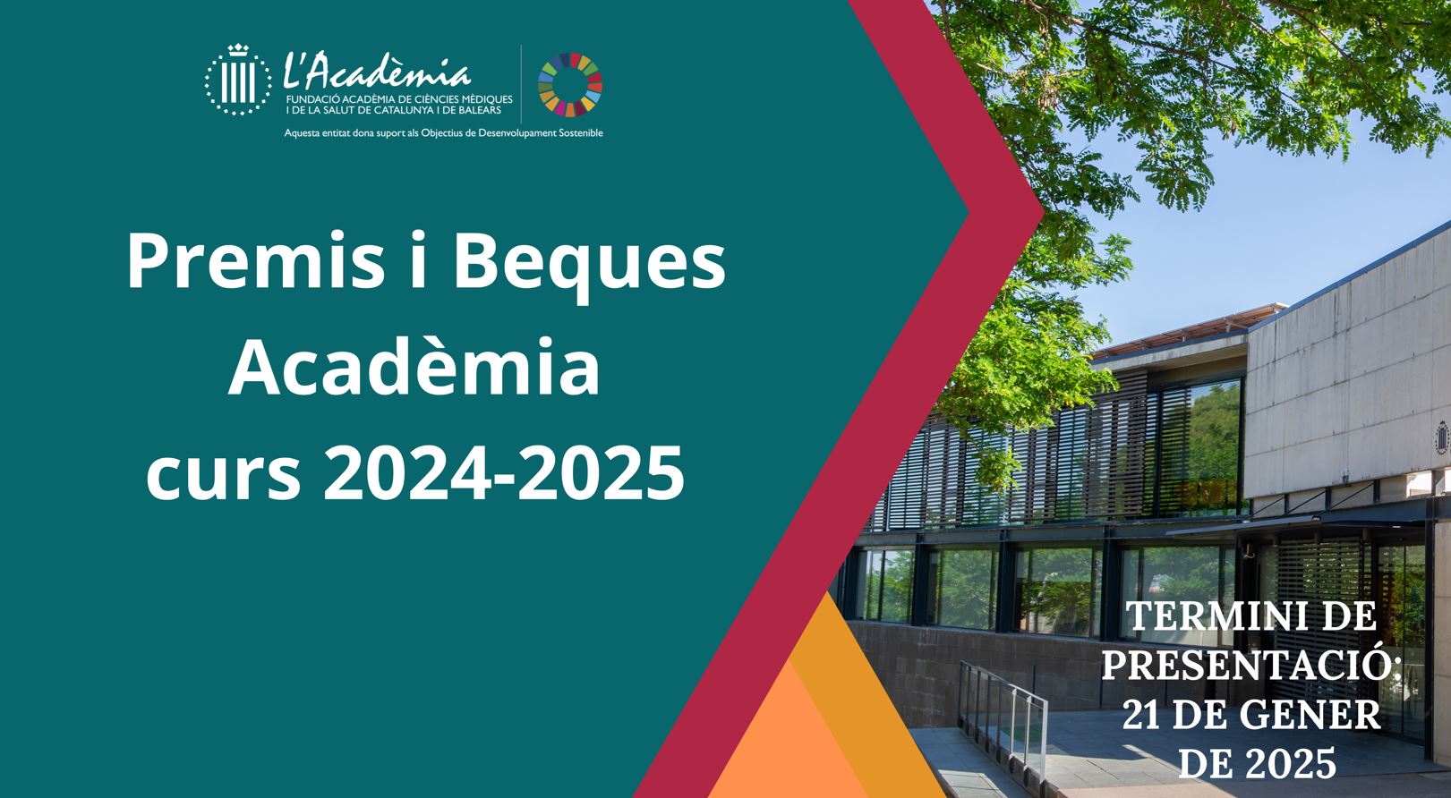 Oberta convocatòria de Premis i Beques de l'Acadèmia pel curs 2024-2025